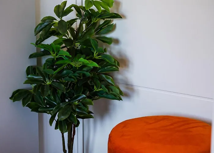 - Con Roccia Naturale