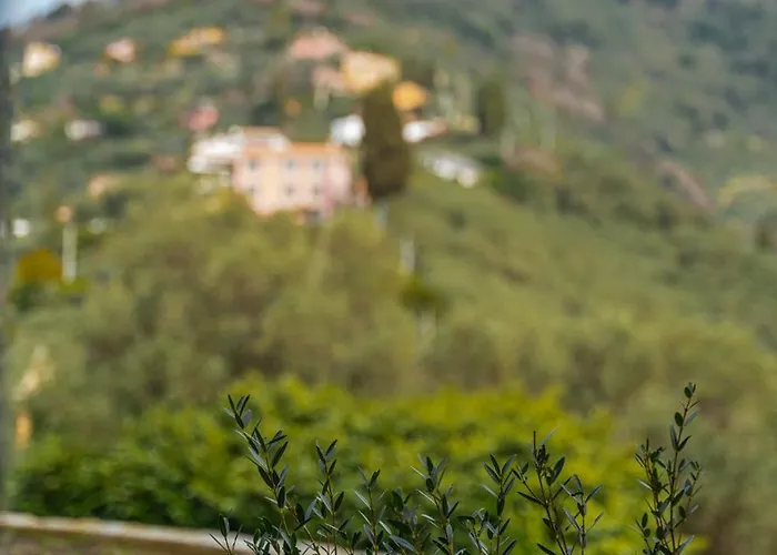 - Con Roccia Naturale Appartement